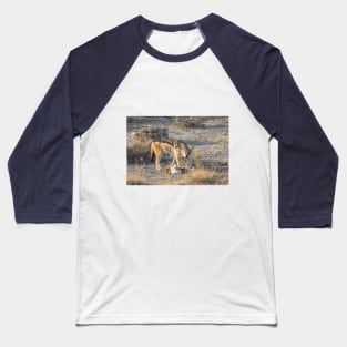 Namibia. Etosha National Park. Scavenging Jackal. Baseball T-Shirt